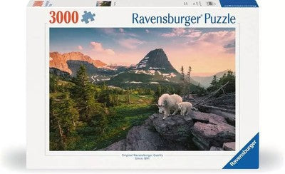 ROMPECABEZA 3000PZ CIUDAD PAISAJE FOTO