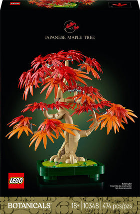 Botanical Coll. Japanese Red Maple Bonsai Tree