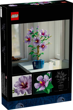 BOTANICAL COLL. HIBISCO