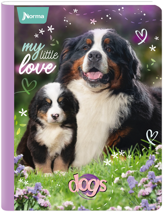 Libreta. Cosida 100h med linea dogs