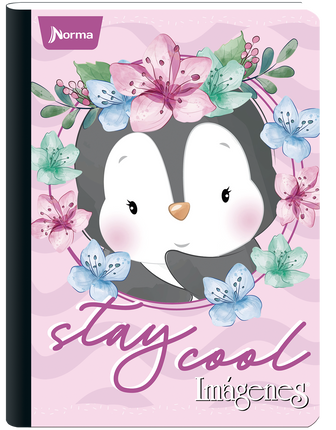 LIBRETA. IMAGENES DOBLE LINEA 100H