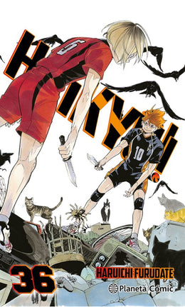 HAIKYU!! Nº 36