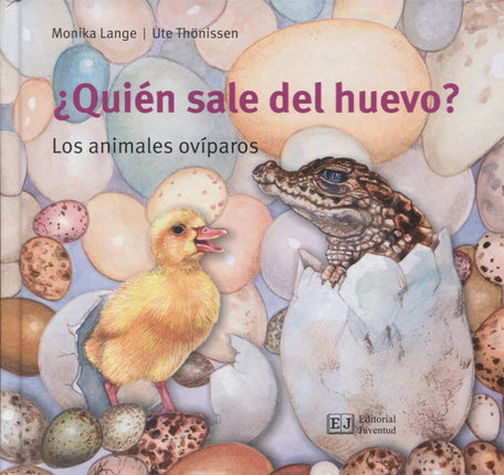 ¿Quién sale del huevo?