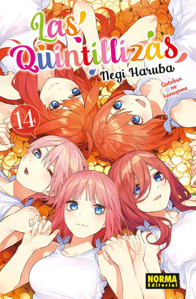 Las quintillizas 14