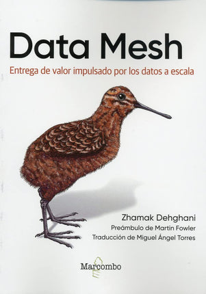 Data Mesh