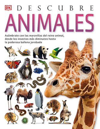 Descubre: animales