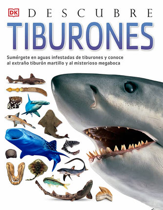 Descubre: tiburones