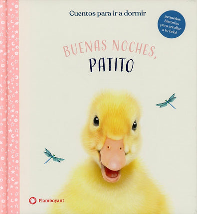 Buenas noches, patito
