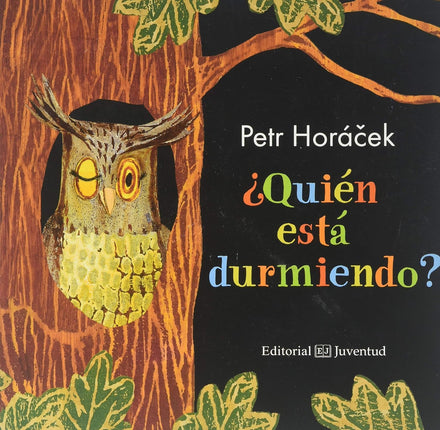 ¿Quién está durmiendo?