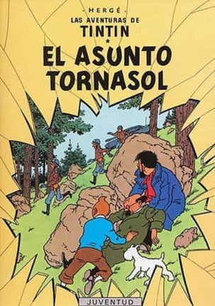 El asunto tornasol