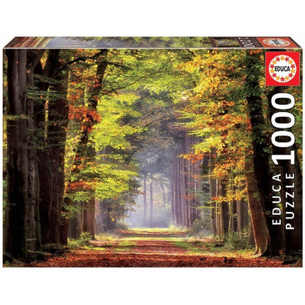 Rompecabezas. Paseo otoñal