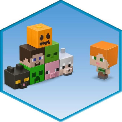 Minecraft. Mob head mini