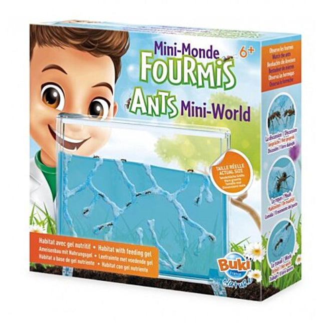 Minimundo de hormigas