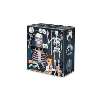 SKELETON 80 CM