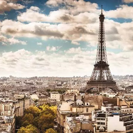 ROMPECABEZA 1000PZ PARIS