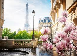 ROMPECABEZA 500PZ HORIZONTE DE PARIS