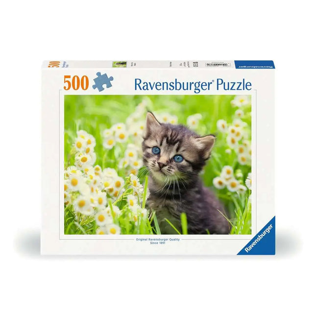 ROMPECABEZA 500PZ FOTO DE GATO
