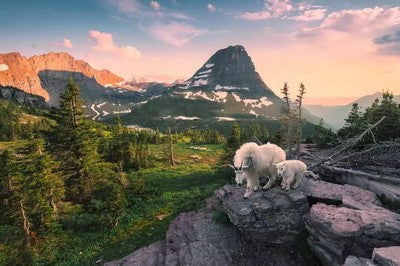 ROMPECABEZA 3000PZ CIUDAD PAISAJE FOTO