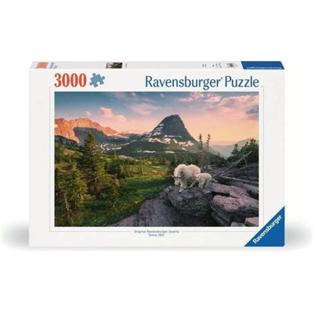 ROMPECABEZA 3000PZ CIUDAD PAISAJE FOTO