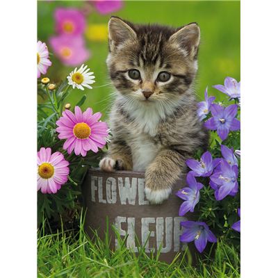 ROMPECABEZA 100PZXXL GATITO ENTRE LAS FLORES
