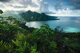 ROMPECABEZA 5000PZ MIRADOR HAWAIANO