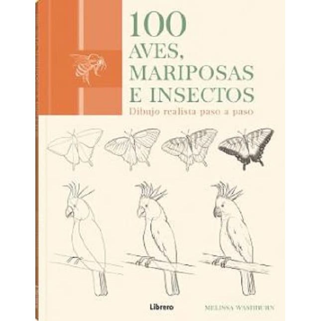 100 aves, mariposas e insectos: dibujos realistas