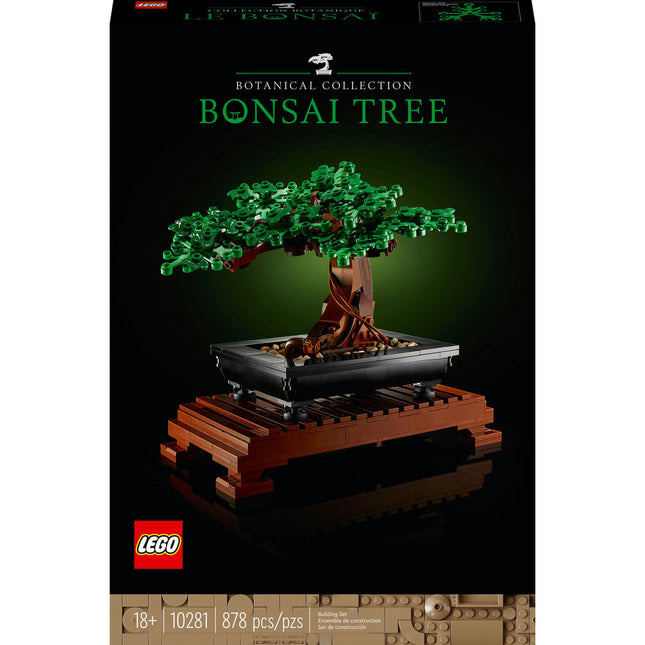 Botánica Coll. Bonsai tree