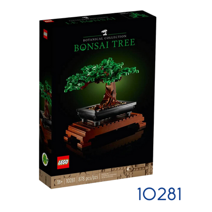 BOTANICAL COLL. BONSAI TREE