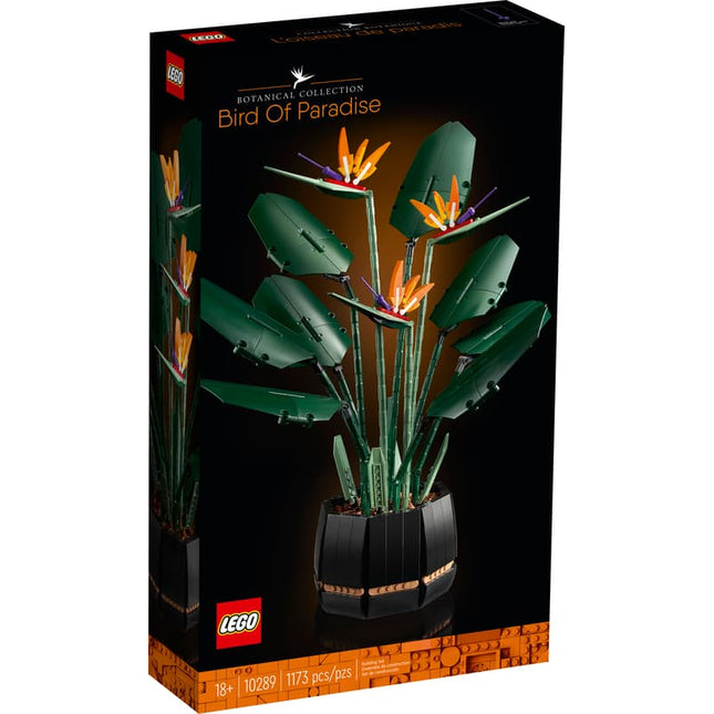 BOTANICAL COLL. BIRD OF PARADISE