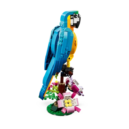 Creator. Exotic Parrot Blue&Yellow