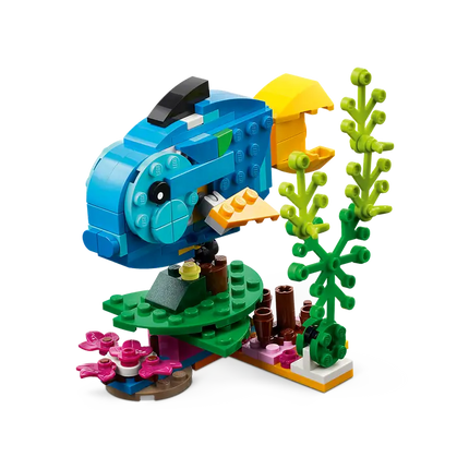 Creator. Exotic Parrot Blue&Yellow