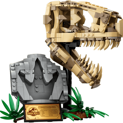 JURASSIC W. DINOSAUR FOSSILS T-REX SKULL
