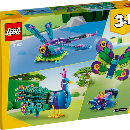 Creator. Pavorreal Exotico