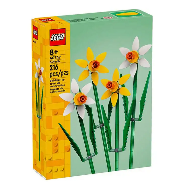 Botánica Coll. Flores daffodils