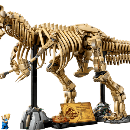 JURASSIC PARK. DINO FOSSILS TYRANNOSAURUS REX