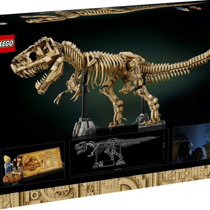 JURASSIC PARK. DINO FOSSILS TYRANNOSAURUS REX