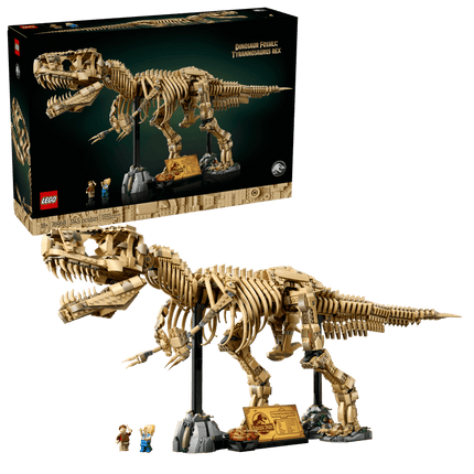 JURASSIC PARK. DINO FOSSILS TYRANNOSAURUS REX