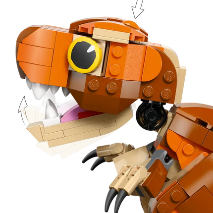 Juras sic w. Little entre t. Rey