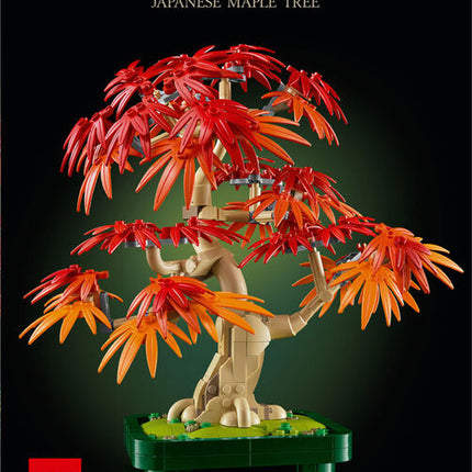 Botanical Coll. Japanese Red Maple Bonsai Tree