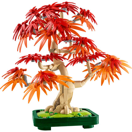 Botanical Coll. Japanese Red Maple Bonsai Tree