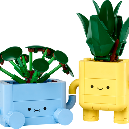 Botanical Coll. Happy plants