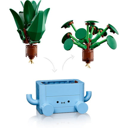 Botanical Coll. Happy plants