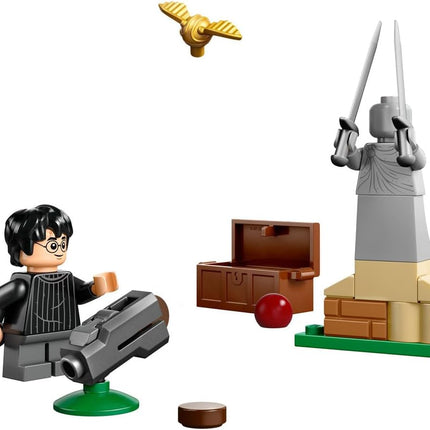 Bajo. Harry potter quidditch lesson