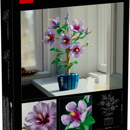 BOTANICAL COLL. HIBISCO