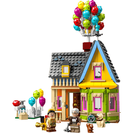 DISNEY. 'UP' HOUSE