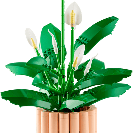 BOTANICAL COLL. PEACE LILY