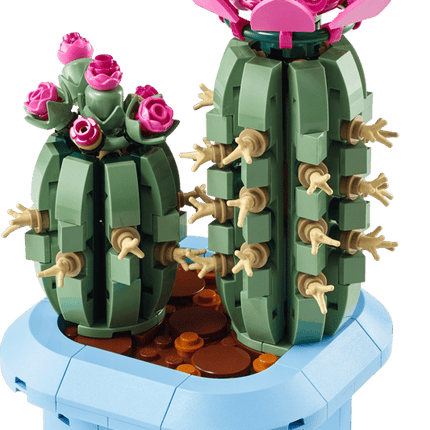 BOTANICAL COLL. FLOWERING CACTUS