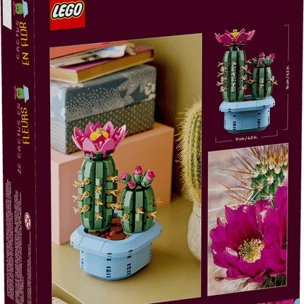 BOTANICAL COLL. FLOWERING CACTUS