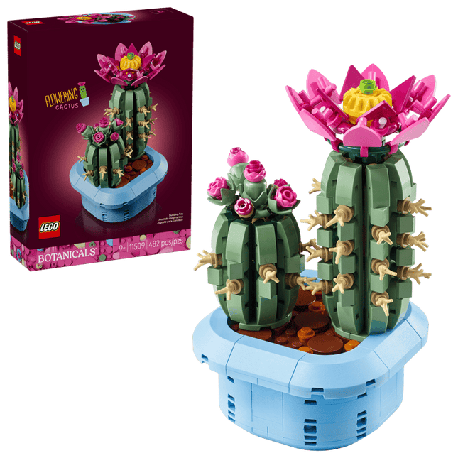 BOTANICAL COLL. FLOWERING CACTUS