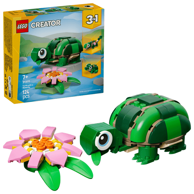 CREATOR. TURTLE WITH A WATER